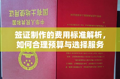 汉中签证制作的费用标准解析，如何合理预算与选择服务
